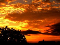 beim heutigen Sonnenaufgang schwamm ein Hai durch das gelb-rot angestrahlte Wolkenmeer über Bad Harzburg